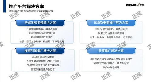 2025東莞優(yōu)秀網(wǎng)絡(luò)公司推正度 以價值服務(wù)與正直經(jīng)營贏得市場口碑